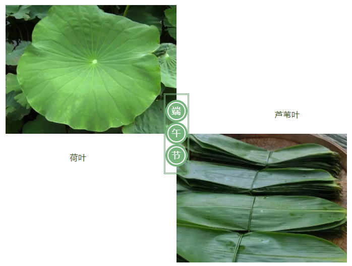 银河集团(galaxy)医纺