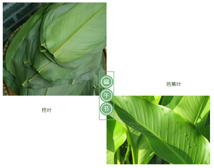 银河集团(galaxy)医纺