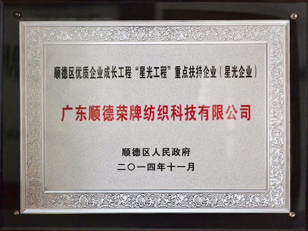 银河集团(galaxy)-2012年获顺德政府颁发“星光企业”称号