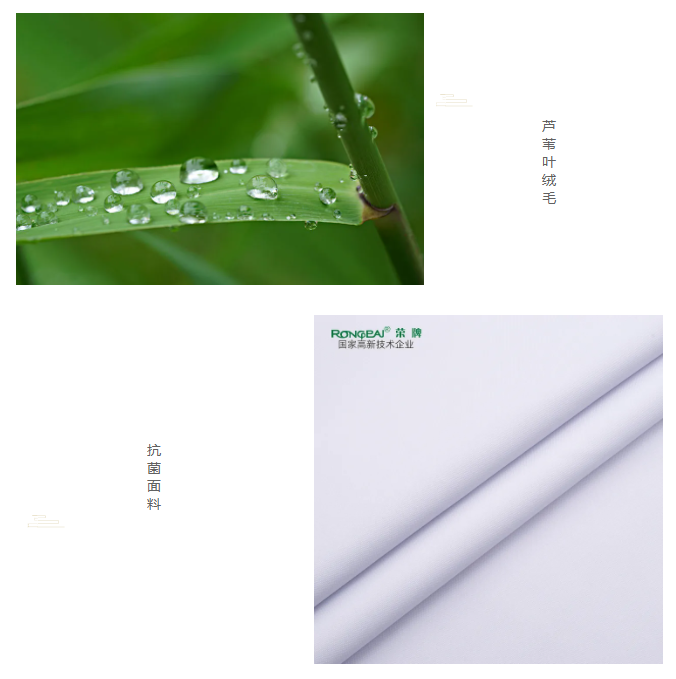 银河集团(galaxy)医纺